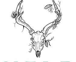 Antler Hairdesigns