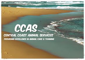 CCAS